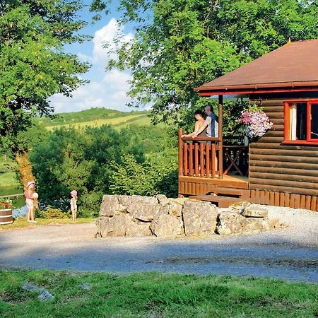 Garnffrwd Park Hotel Llanddarog Buitenkant foto