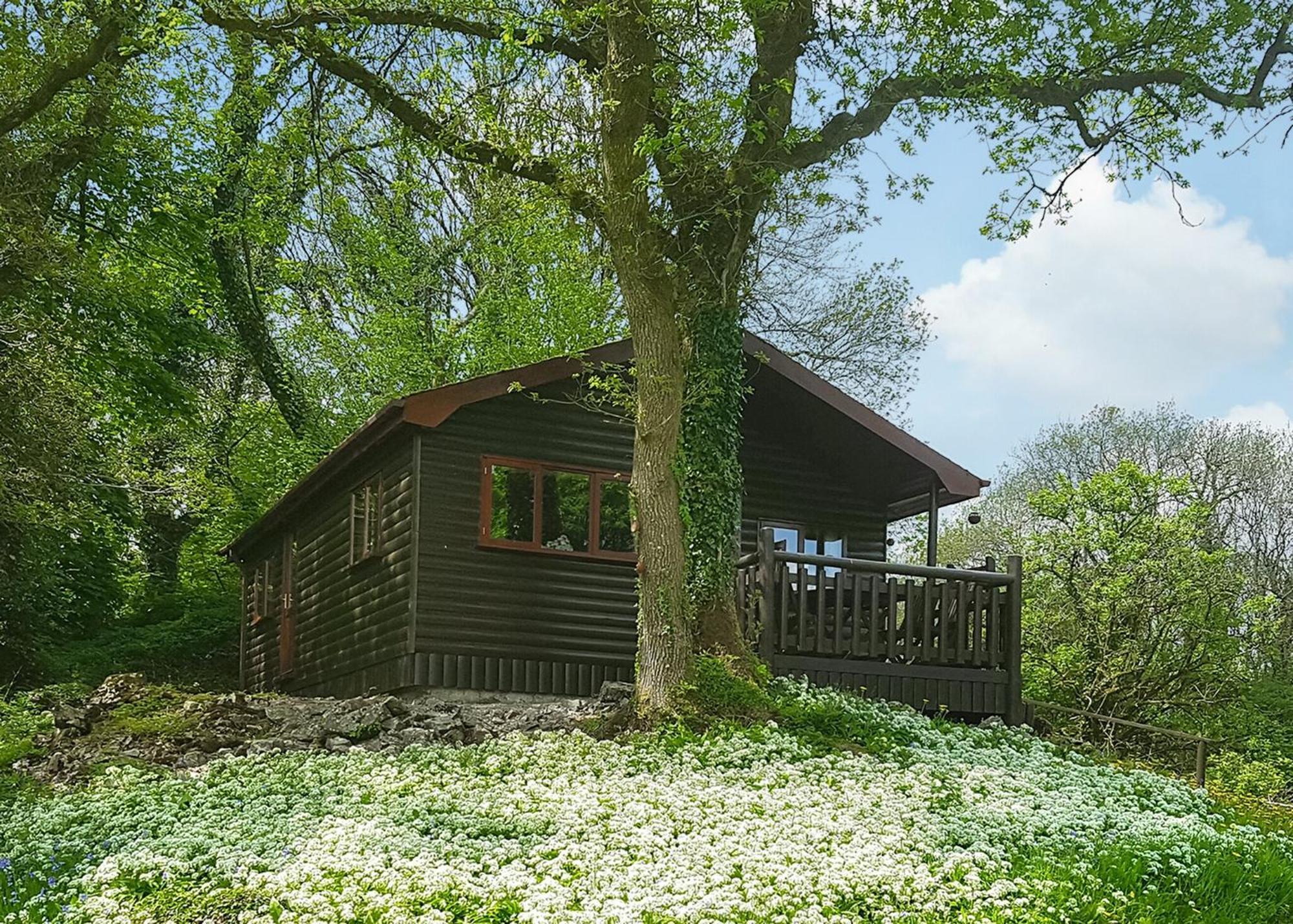 Garnffrwd Park Hotel Llanddarog Kamer foto