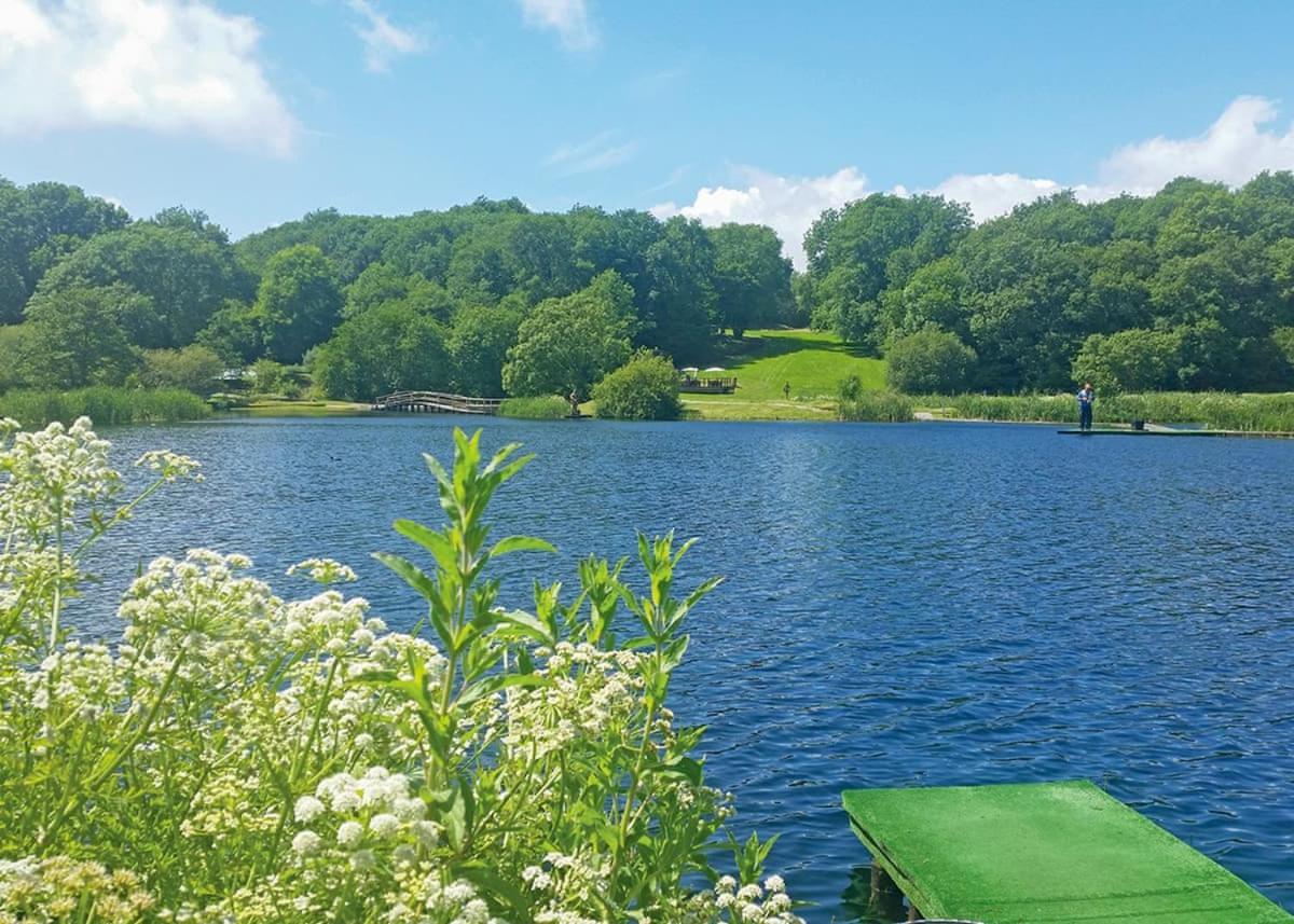 Garnffrwd Park Hotel Llanddarog Buitenkant foto