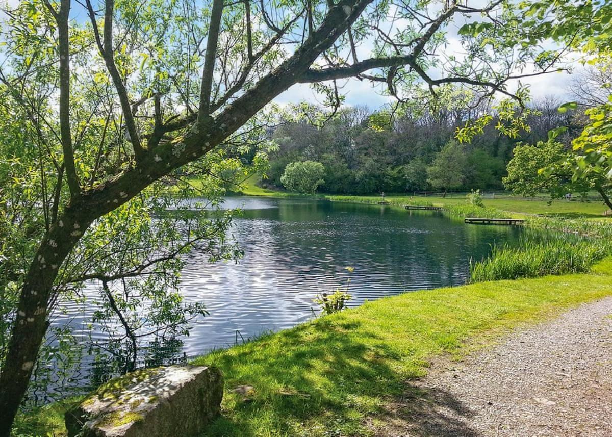 Garnffrwd Park Hotel Llanddarog Buitenkant foto